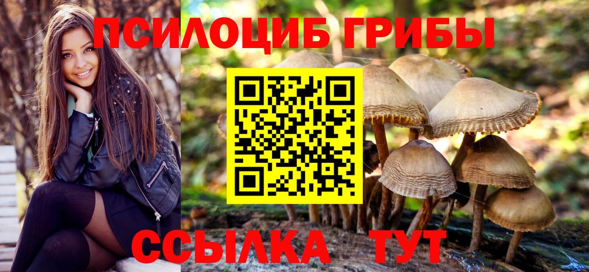 Галлюциногенные грибы мухоморы  Псилоцибиновые грибы прущие грибы  Белебей  Вход с VPN 